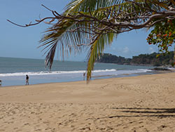 beach in cairns