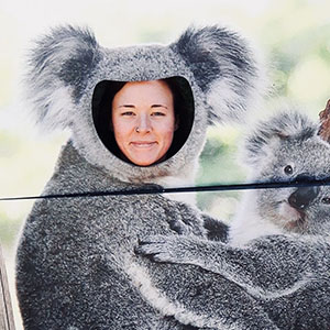 koala