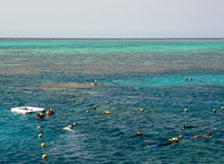 the great barrier reef