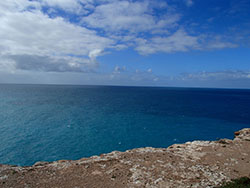 Southern Ocean