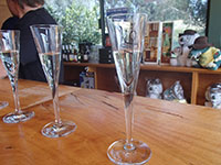 Wine tasting